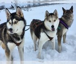 Small #5 Breeder Profile image