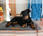 Small #4 Breeder Profile image