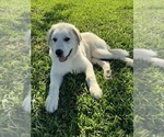Small #7 Breeder Profile image