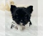 Small #19 Breeder Profile image