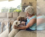 Small #2 Breeder Profile image