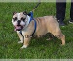 Small #4 Breeder Profile image