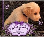 Small #28 Breeder Profile image