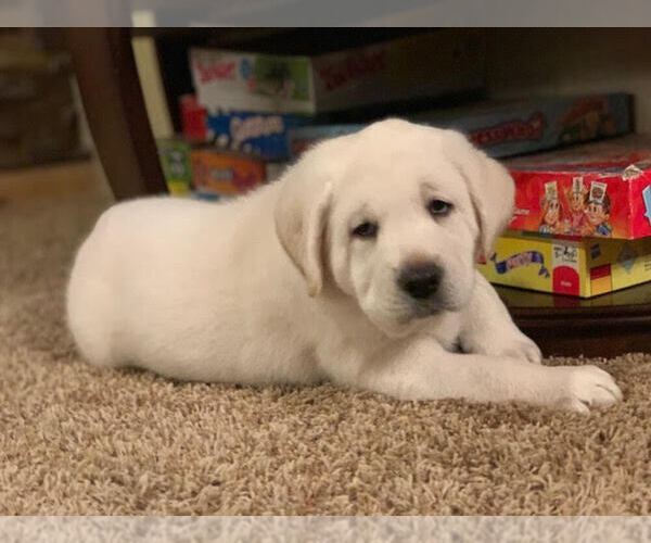 Medium Photo #10  Breeder Profile in FAIRFIELD, VT, USA
