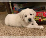 Small #9 Breeder Profile image
