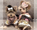 Small #5 Breeder Profile image