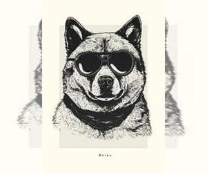 Akita Dog Breeder near YUMA, AZ, USA