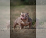 Small #14 Breeder Profile image