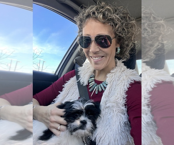 Medium Photo #1  Breeder Profile in PAYSON, AZ, USA