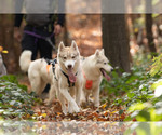 Small #7 Breeder Profile image