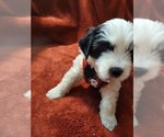 Small #25 Breeder Profile image