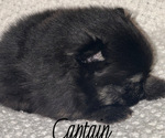 Small #1 Breeder Profile image