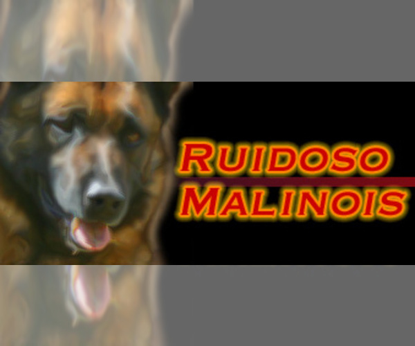 Medium Photo #1  Breeder Profile in CAPITAN, NM, USA