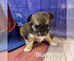 Small #14 Breeder Profile image