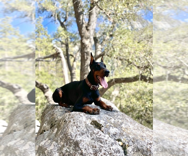 Medium Photo #2  Breeder Profile in NUEVO, CA, USA