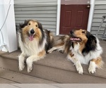Small #7 Breeder Profile image