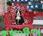 Small #8 Breeder Profile image