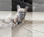 Small #1 Breeder Profile image