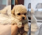 Small #15 Breeder Profile image