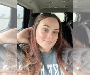 Yorkipoo Dog Breeder near ALLEN PARK, MI, USA