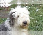 Small #1 Breeder Profile image