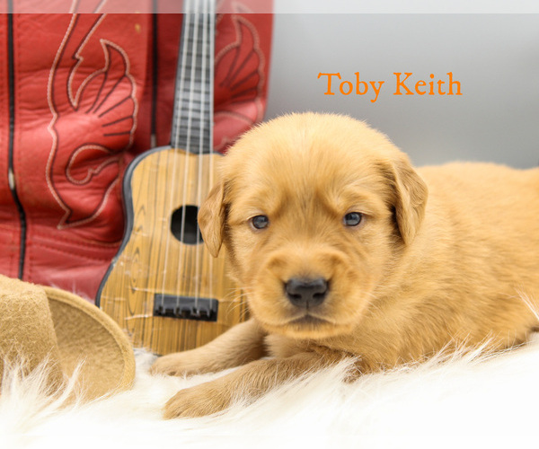 Medium Photo #8  Breeder Profile in SCIO, OR, USA