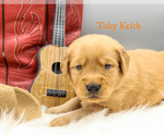 Small #7 Breeder Profile image