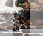 Small #7 Breeder Profile image