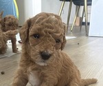 Small #4 Breeder Profile image