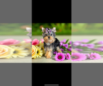 Small #9 Breeder Profile image