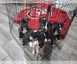 Small #2 Breeder Profile image