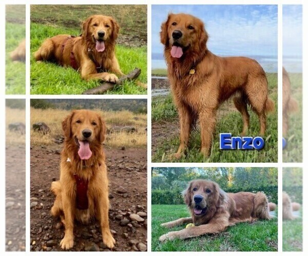 Medium Photo #2  Breeder Profile in CHICO, CA, USA