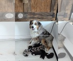 Small #25 Breeder Profile image
