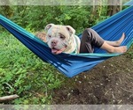 Small #27 Breeder Profile image