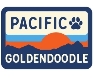 Goldendoodle (Miniature) Dog Breeder in FRIANT,  USA