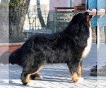 Small #1 Breeder Profile image