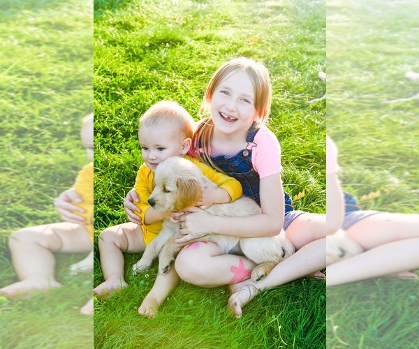 Medium Photo #15  Breeder Profile in OTTUMWA, IA, USA