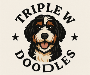Bernedoodle Dog Breeder near MOULTON, AL, USA