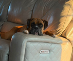 Small #2 Breeder Profile image