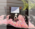 Small #4 Breeder Profile image