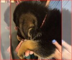 Small #12 Breeder Profile image