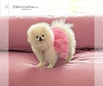 Small #16 Breeder Profile image