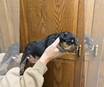 Small #4 Breeder Profile image