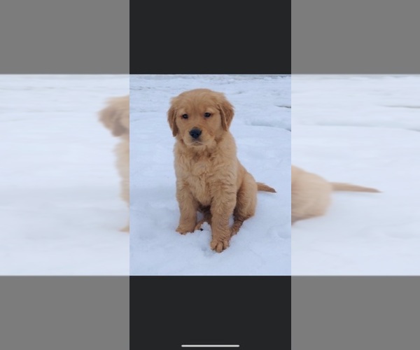 Medium Photo #1  Breeder Profile in MERIDIAN, ID, USA