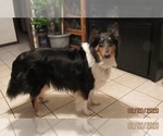 Small Photo #11  Breeder Profile in HIGH POINT, NC, USA