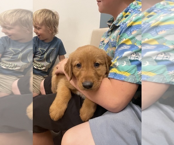 Medium Photo #24  Breeder Profile in CHINO VALLEY, AZ, USA