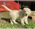 Small #7 Breeder Profile image