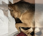 Small #11 Breeder Profile image