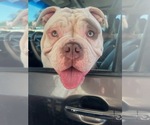 Small #13 Breeder Profile image