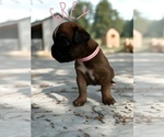 Small #5 Breeder Profile image